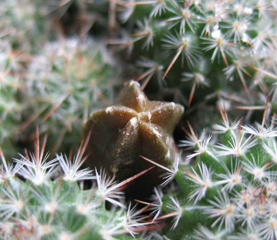 [��ͼ]�Ӷ��翪ʼ