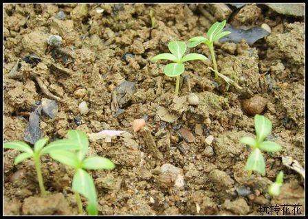 5���ŵ����մ���ѿ�ˣ�����PP�ˣ�