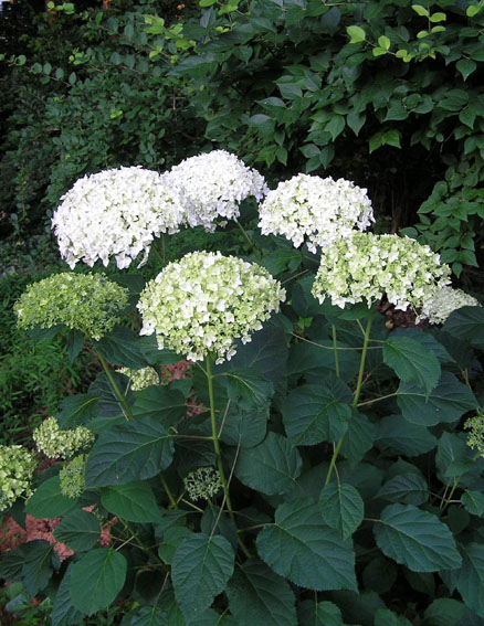 ���µ��ʻ�