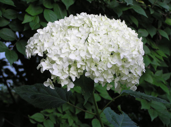 ���µ��ʻ�