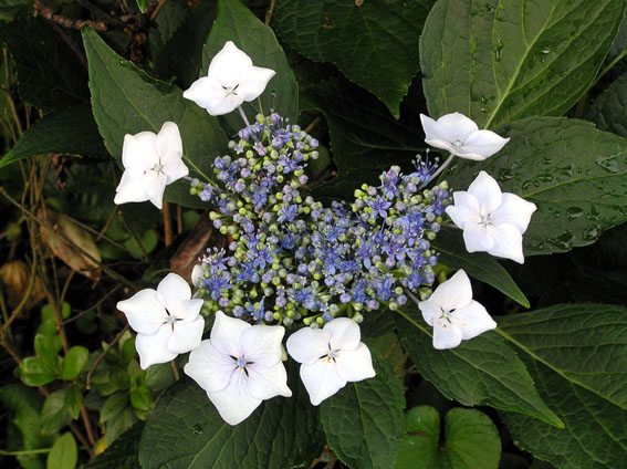 ���µ��ʻ�