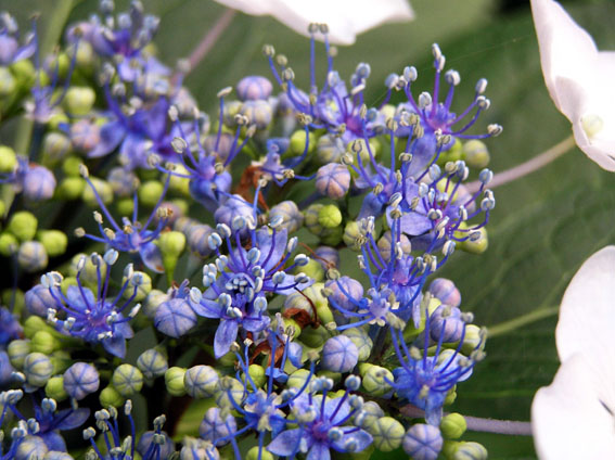 ���µ��ʻ�