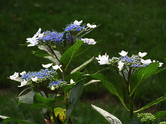 ���µ��ʻ�