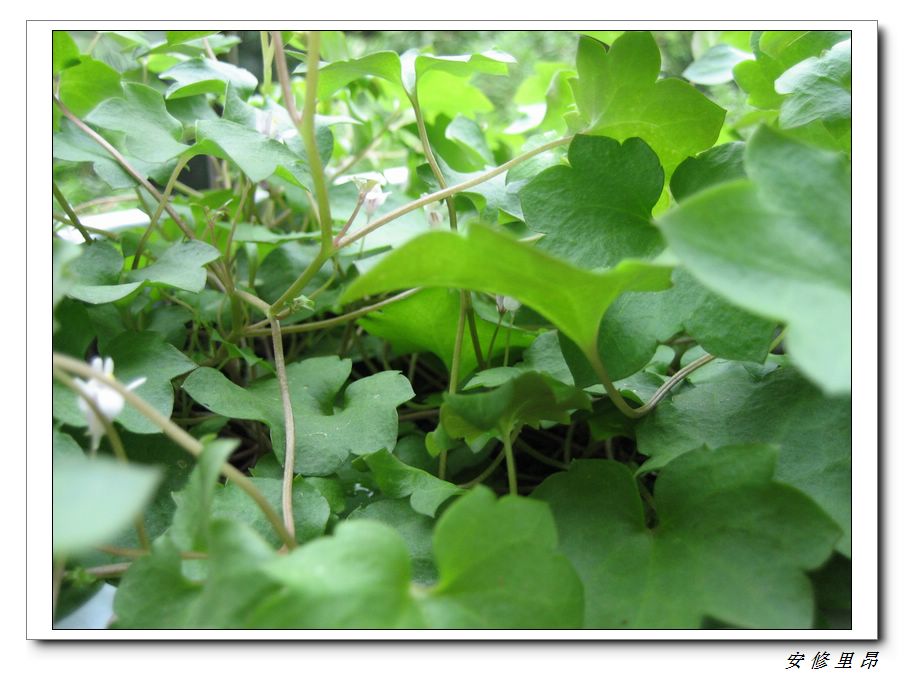 ��78�����̨