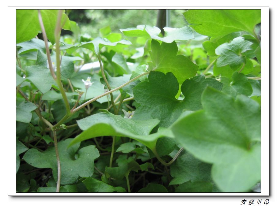 ��78�����̨