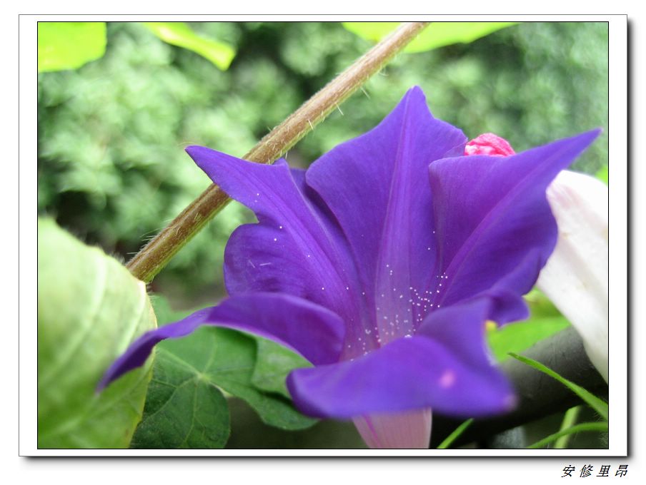 ��78�����̨