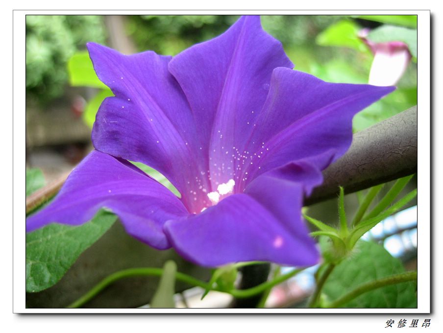 ��78�����̨