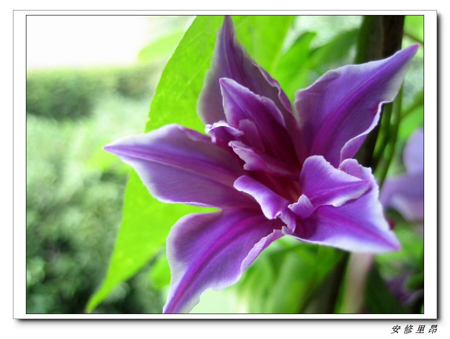 ��78�����̨