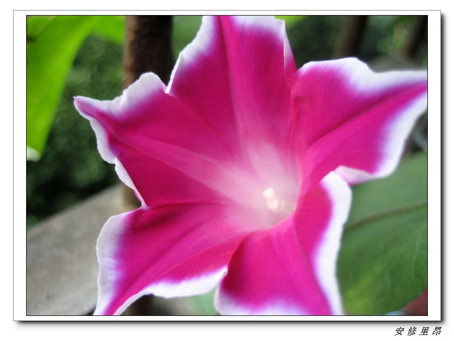 ��78�����̨