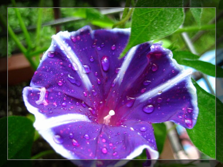 ��78�����̨