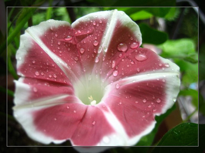 ��78�����̨