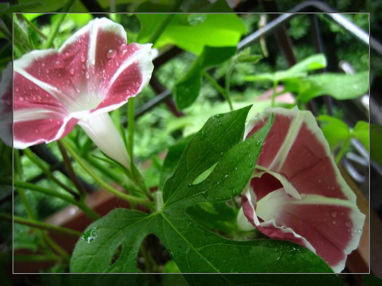 ��78�����̨