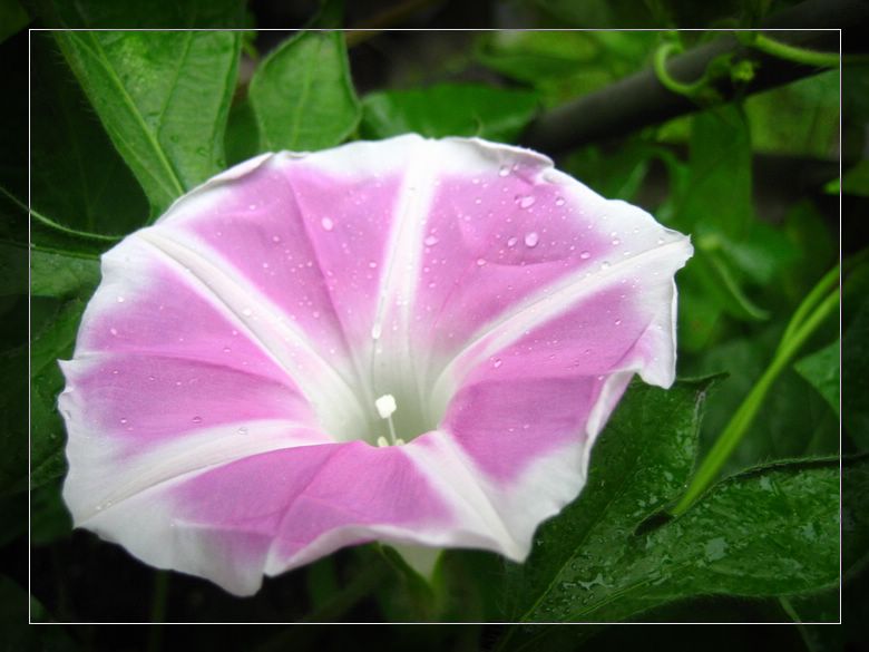 ��78�����̨