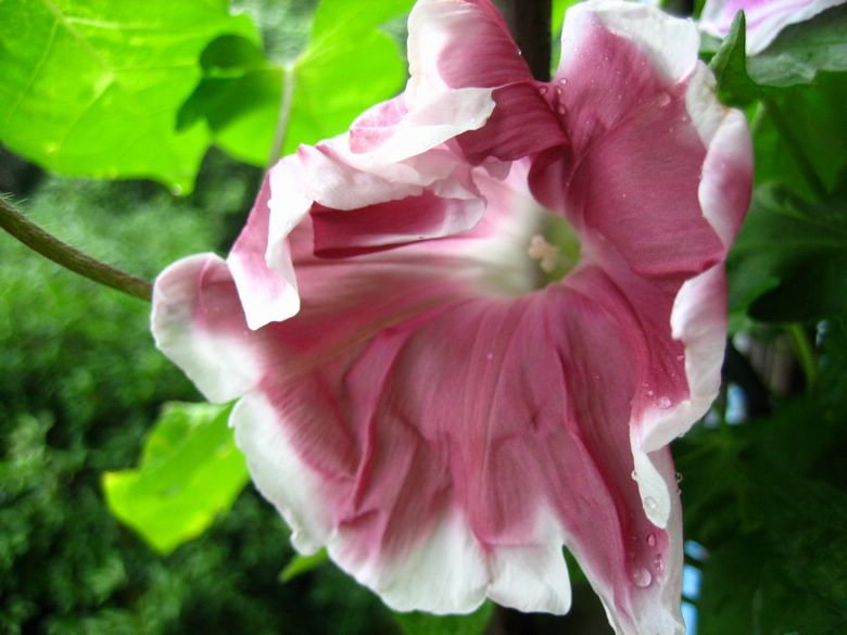 ��78�����̨