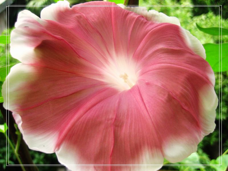 ��78�����̨