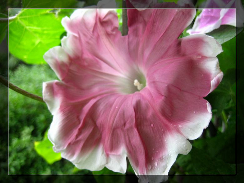 ��78�����̨