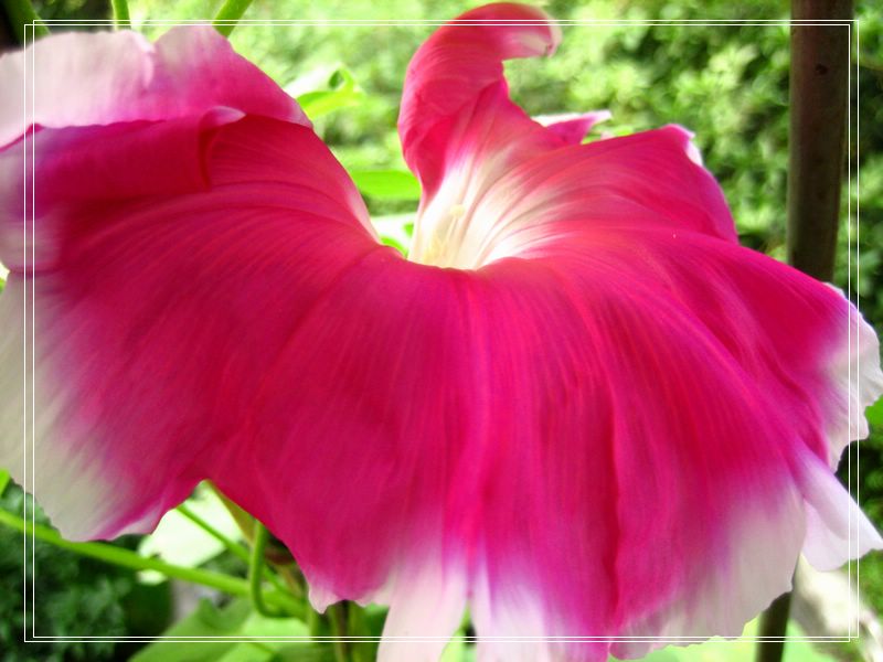 ��78�����̨