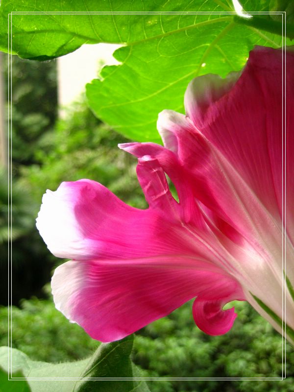 ��78�����̨