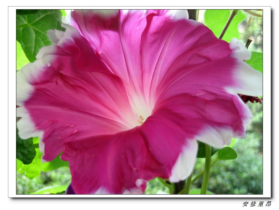 ��78�����̨