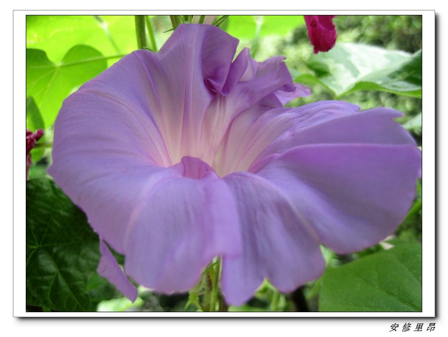 ��78�����̨