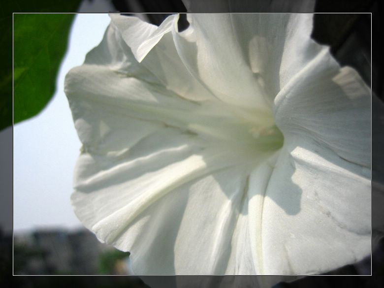 ��78�����̨