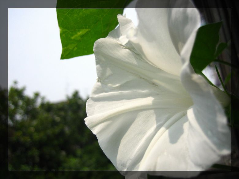 ��78�����̨