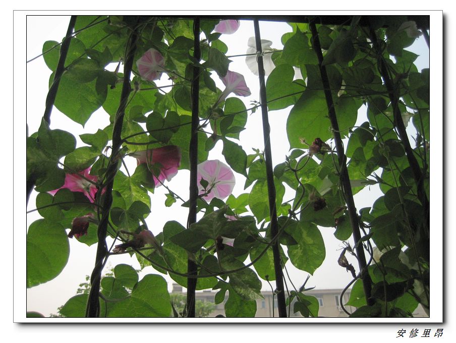 ��78�����̨