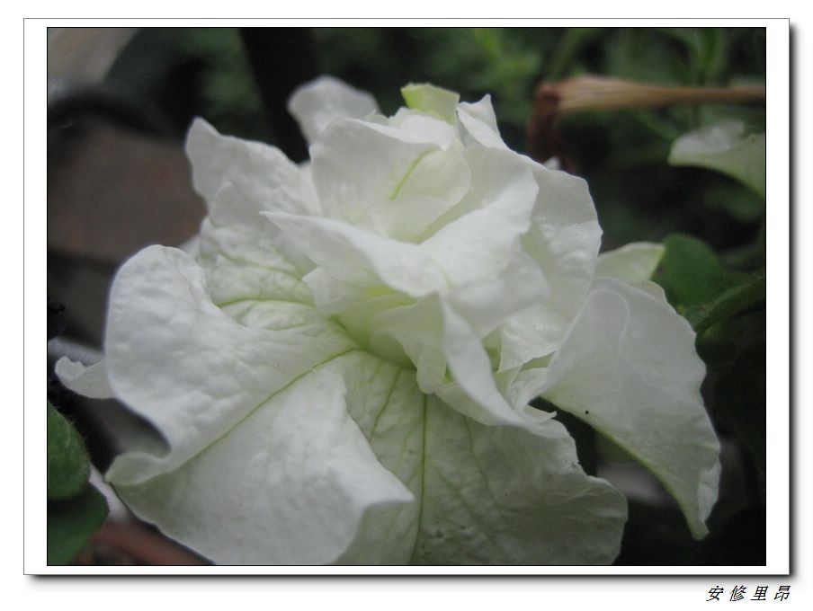 ��78�����̨