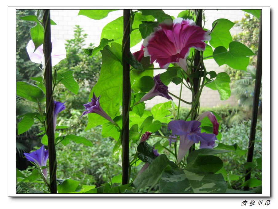 ��78�����̨