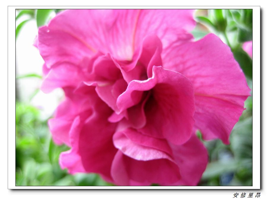 ��78�����̨