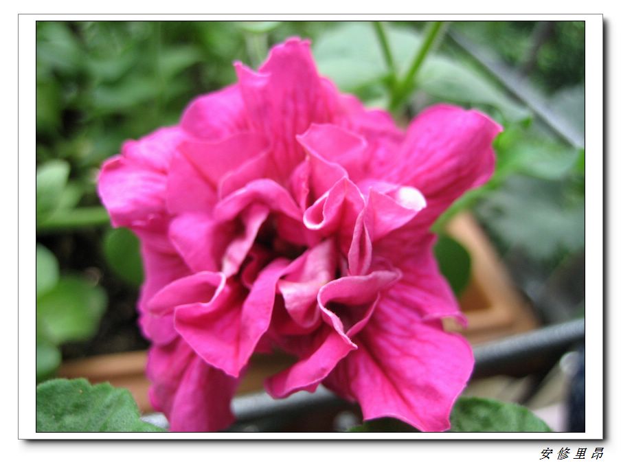 ��78�����̨