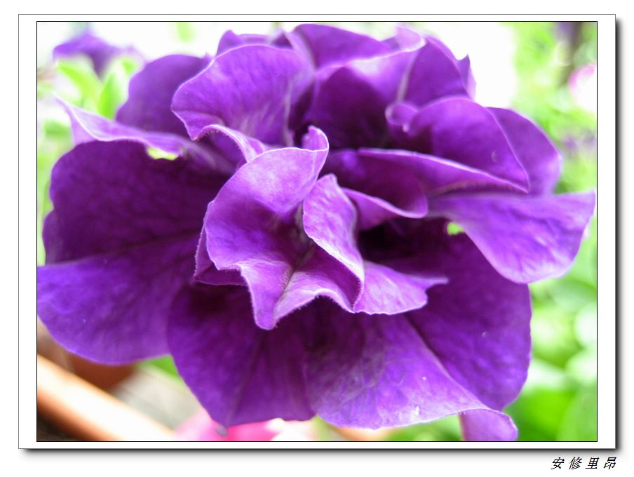 ��78�����̨