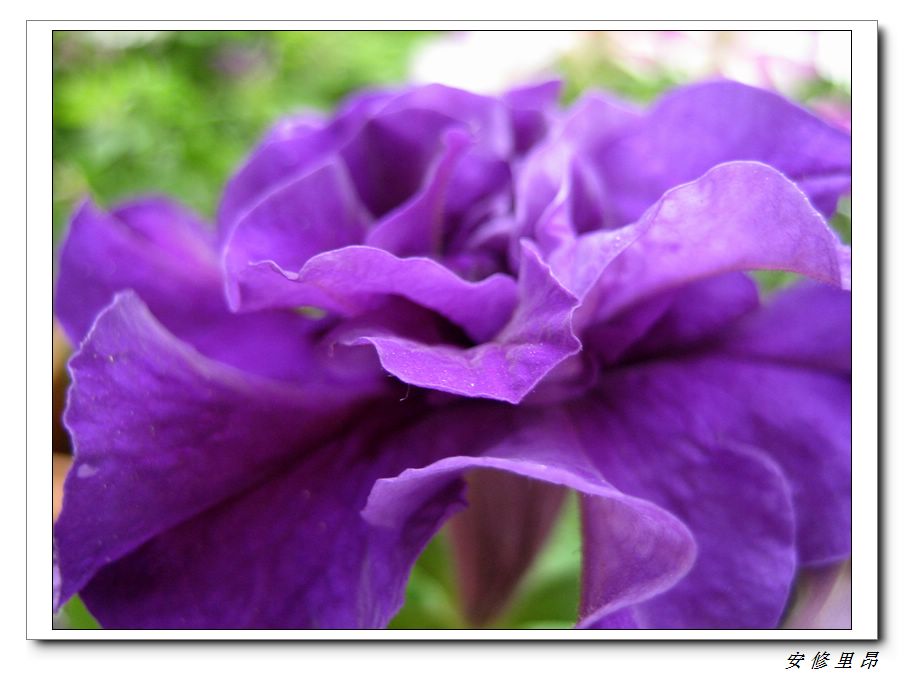 ��78�����̨