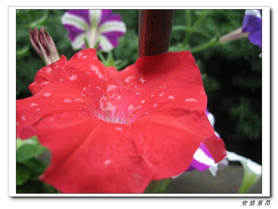 ��78�����̨