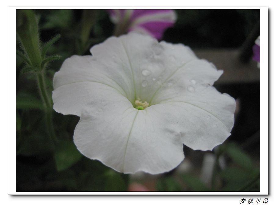 ��78�����̨