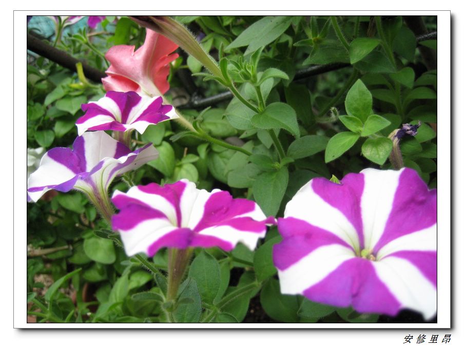 ��78�����̨