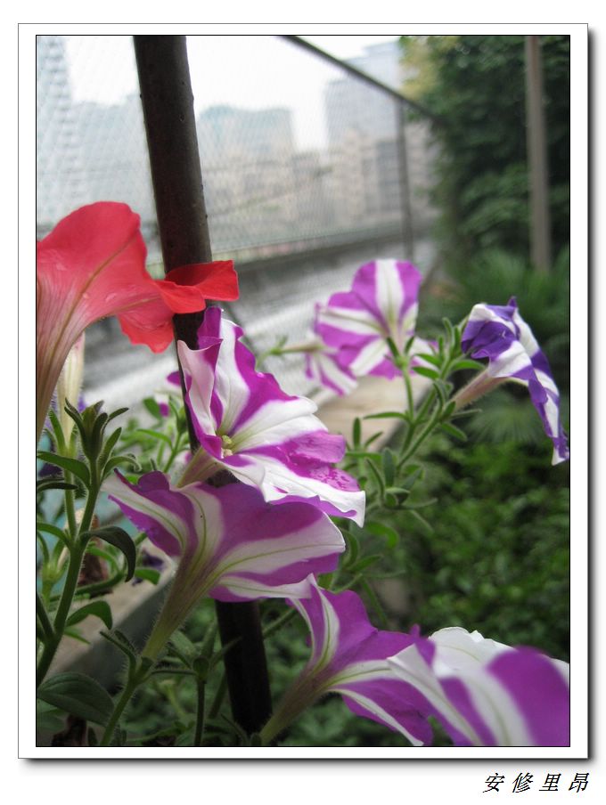 ��78�����̨