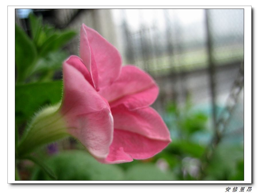 ��78�����̨