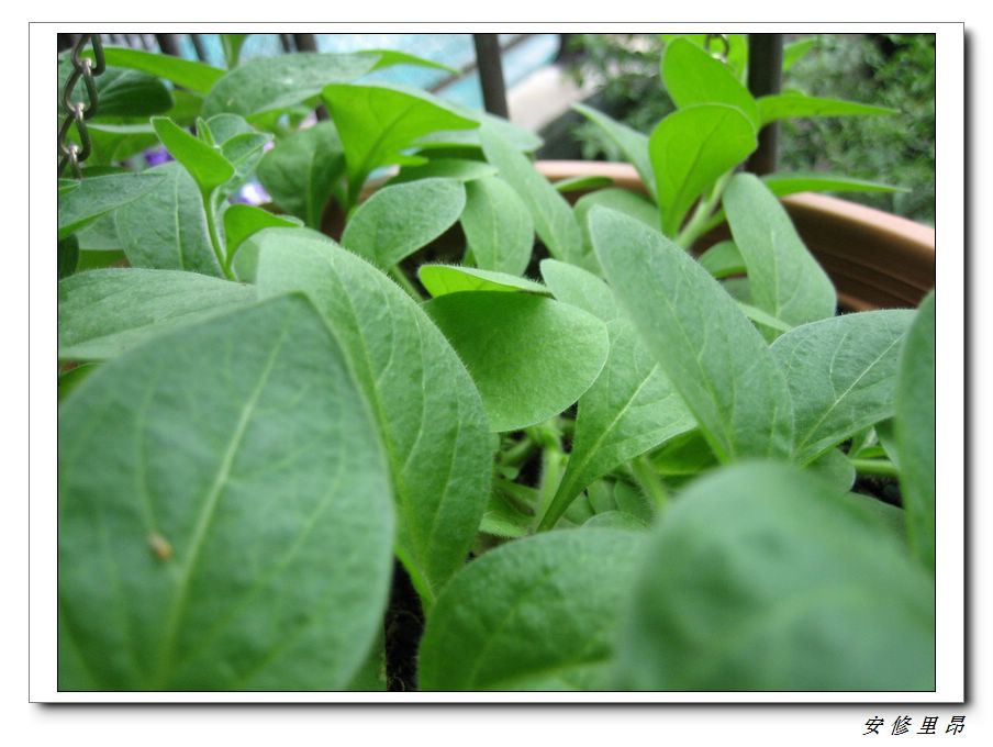 ��78�����̨