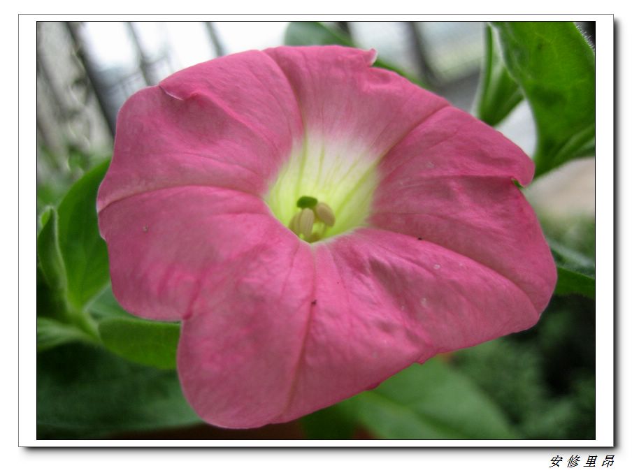 ��78�����̨