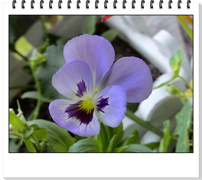 06��һЩ����--���յ�