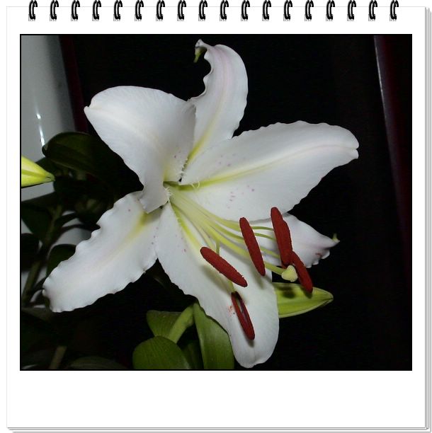 06��һЩ����--���յ�