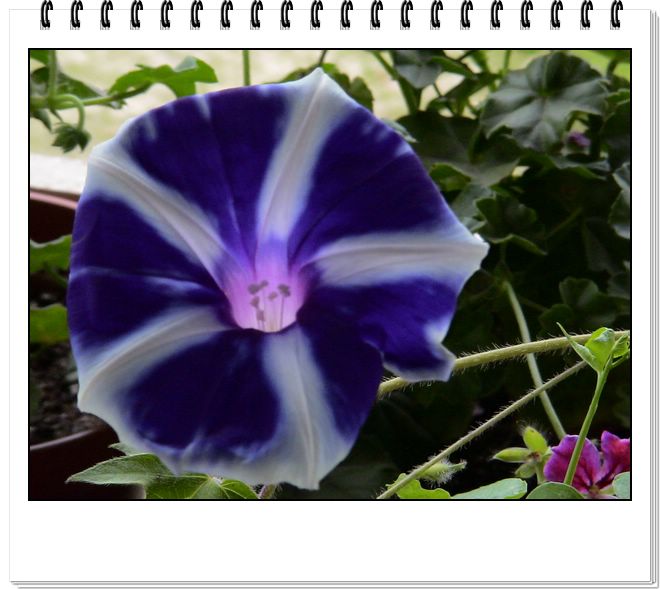 06��һЩ����--���յ�