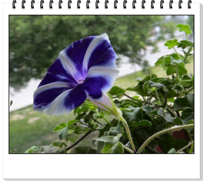 06��һЩ����--���յ�