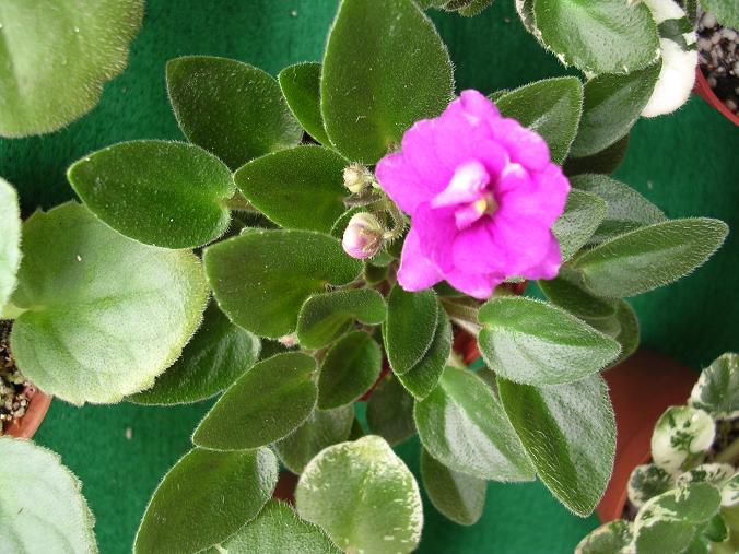 ����Ů�~�ý���