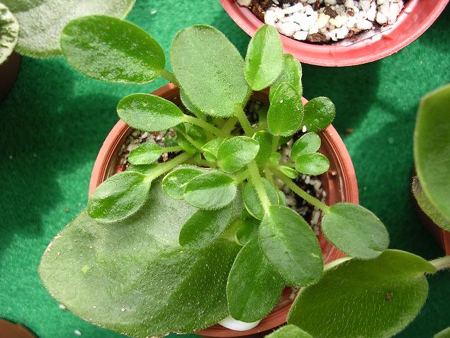 ����Ů�~�ý���