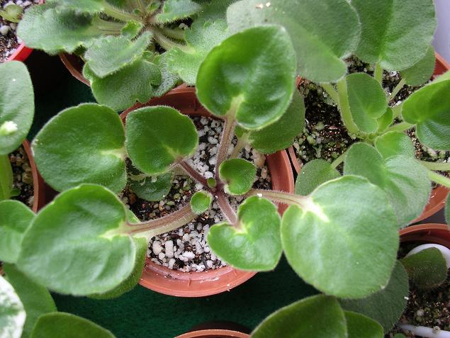 ����Ů�~�ý���