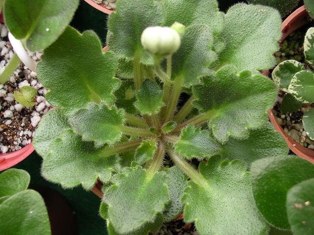 ����Ů�~�ý���