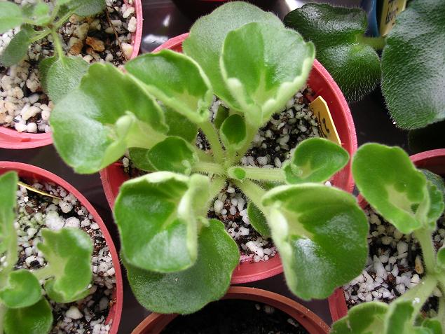 ����Ů�~�ý���