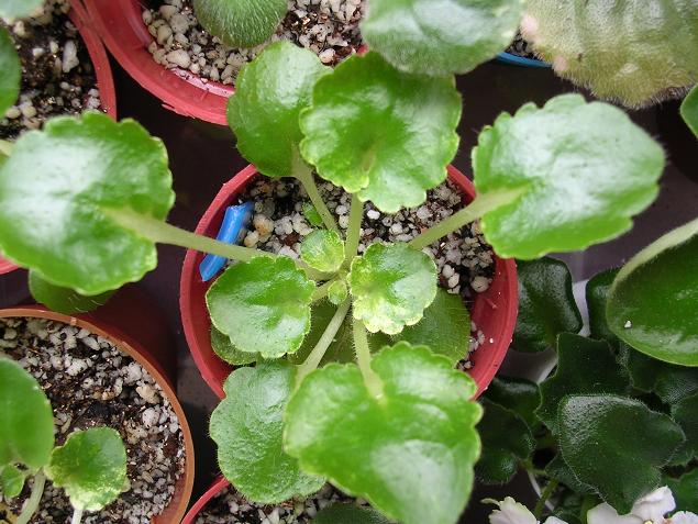 ����Ů�~�ý���